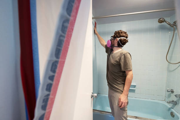 Reliable Lehighton, PA Mold Removal Solutions